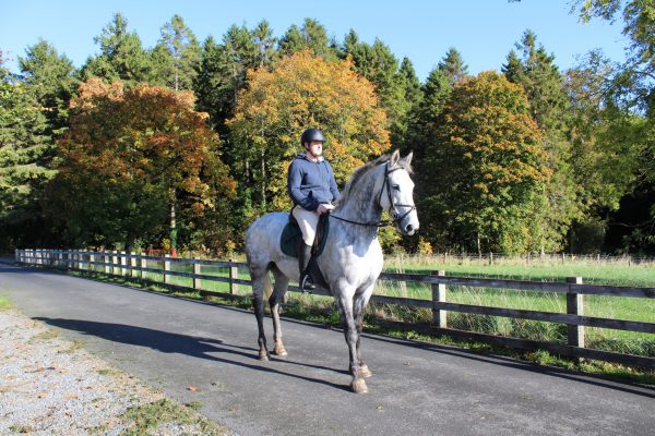 horseriding horseriding