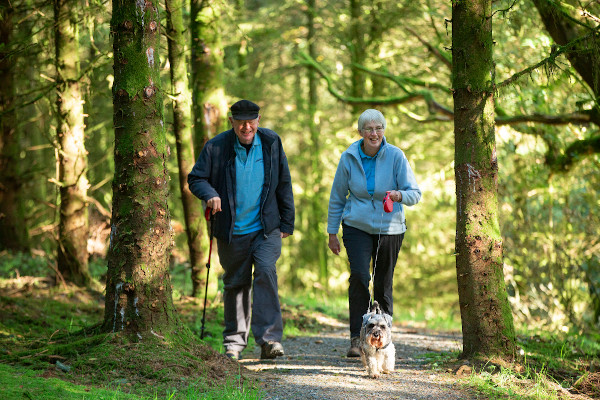 Walk in the Forest - Gosford
