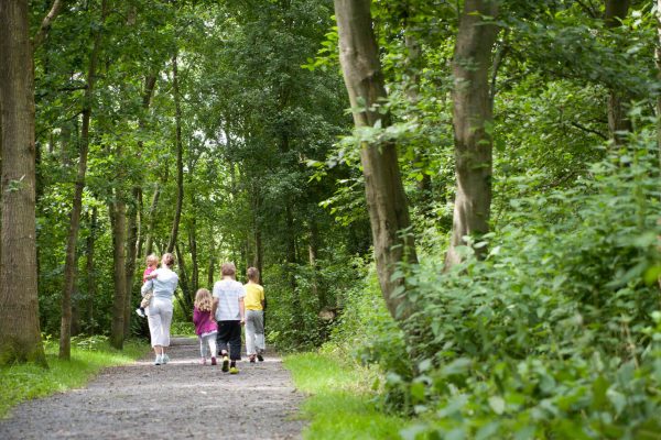 Walk Family summer