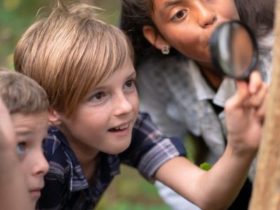 Forest School Oxford Island Forest School Oxford Island