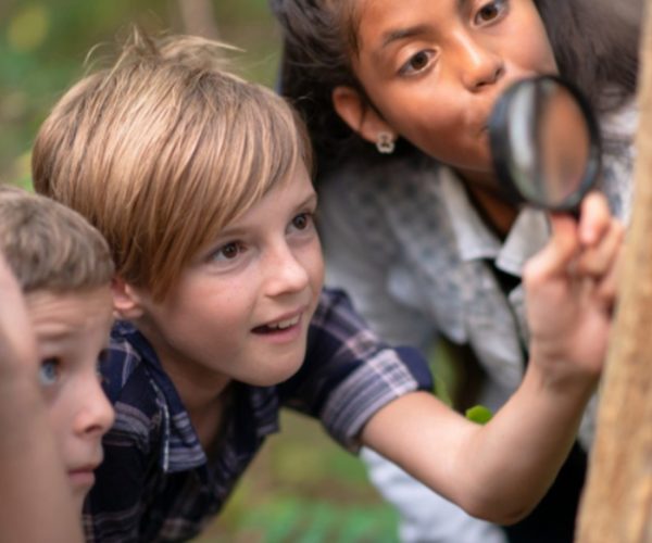 Forest School Oxford Island