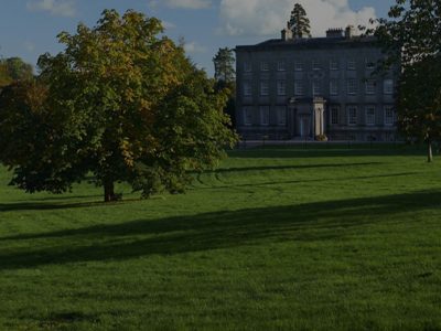 palace4