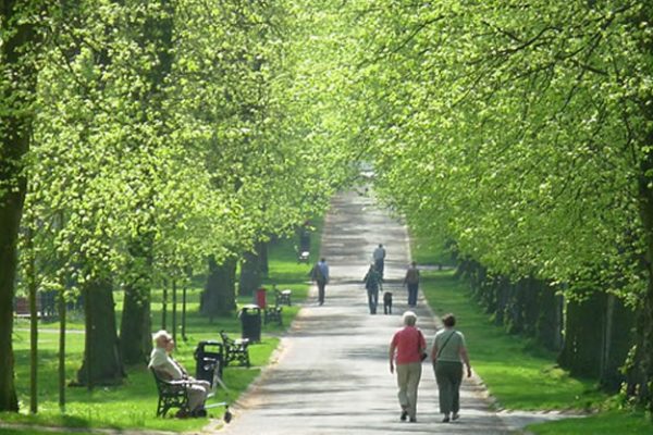 Lurgan Park Lurgan Park