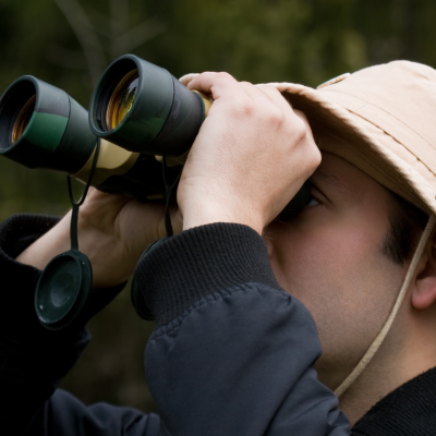 Guide in the hide Guide in the hide