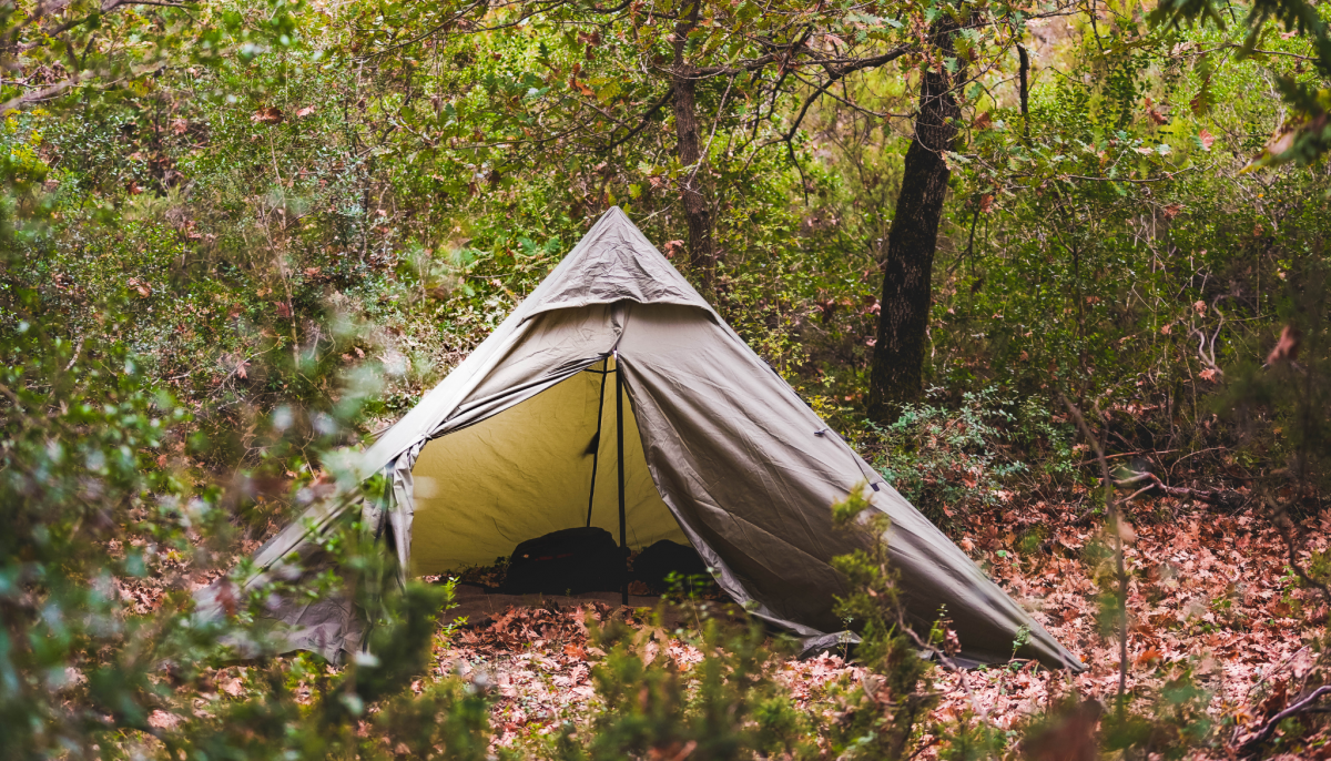 Bushcraft - Learn To Survive - Get Active ABC