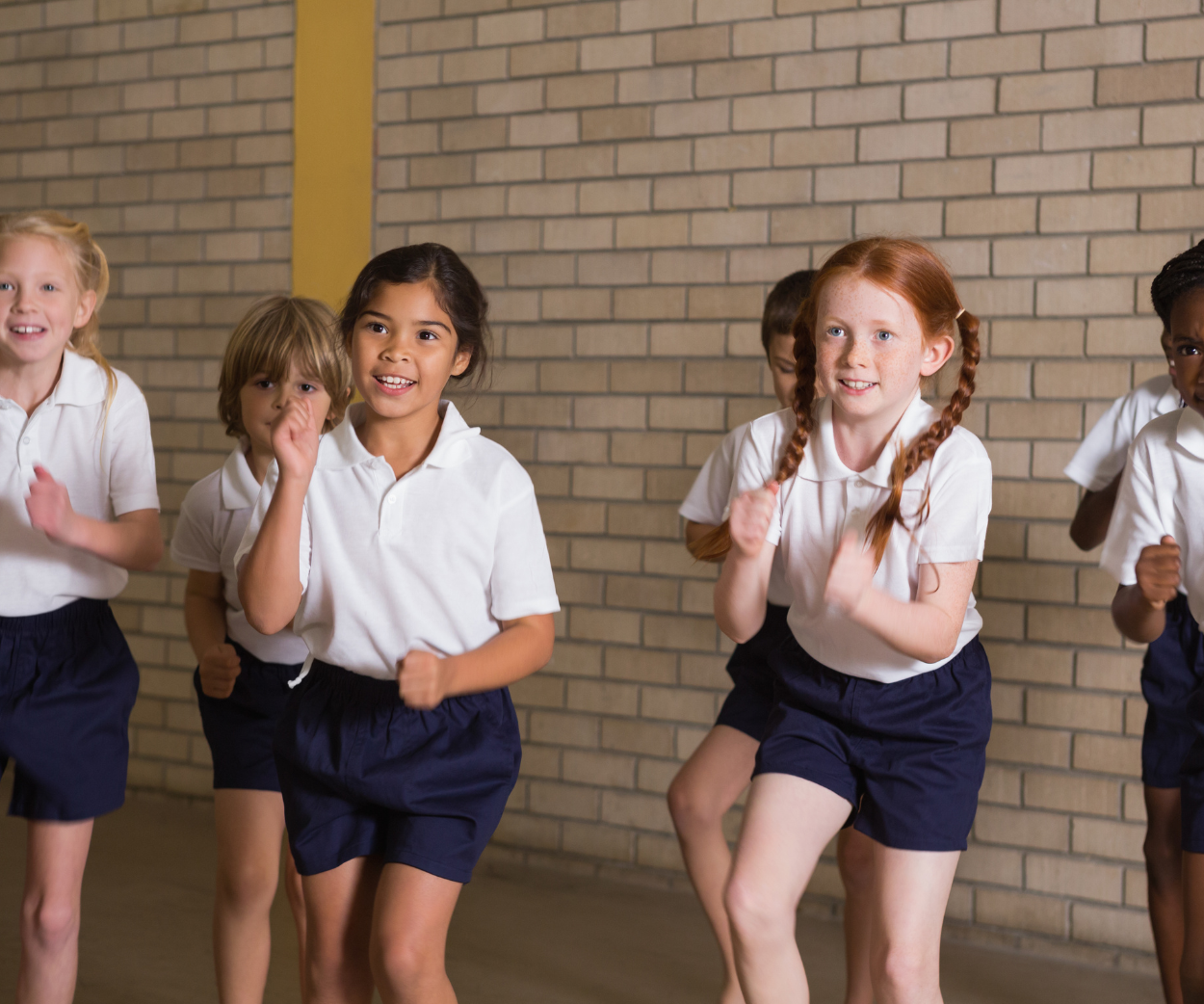 NFD School - wEB