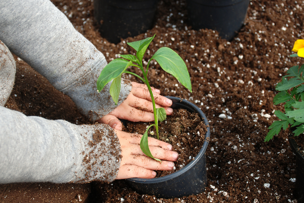 gardening