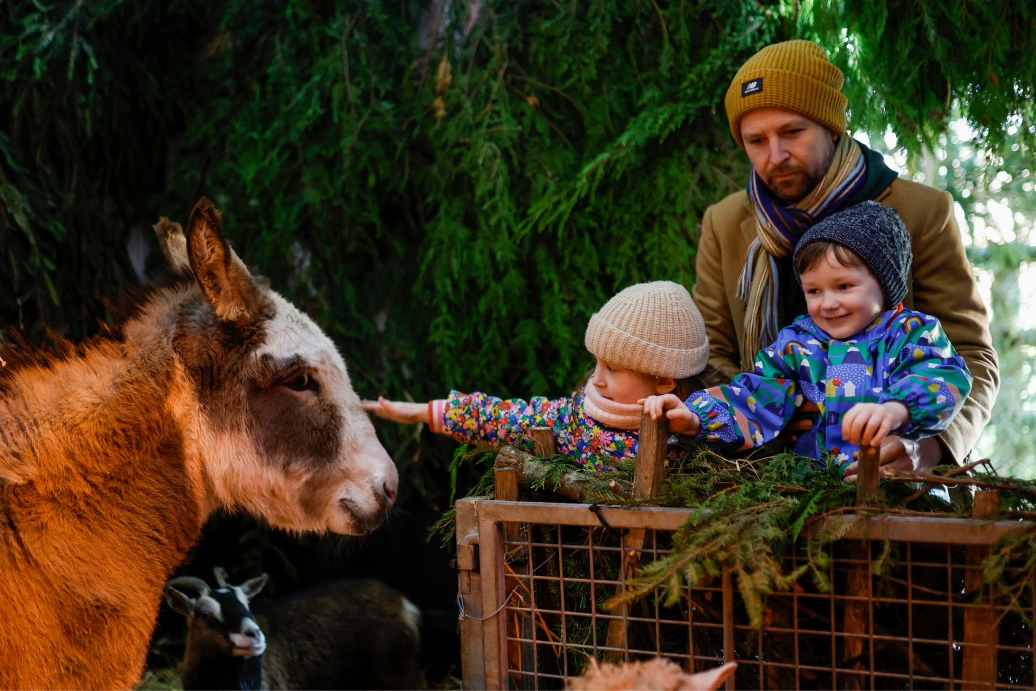 Live Nativity at Tannaghmore