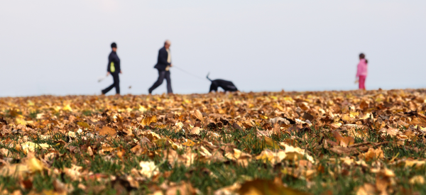 3 people and a dog walking along a leafy path.