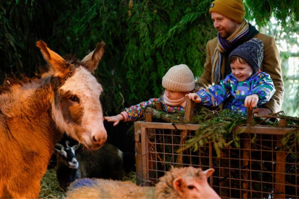 Tannaghmore Live Nativity