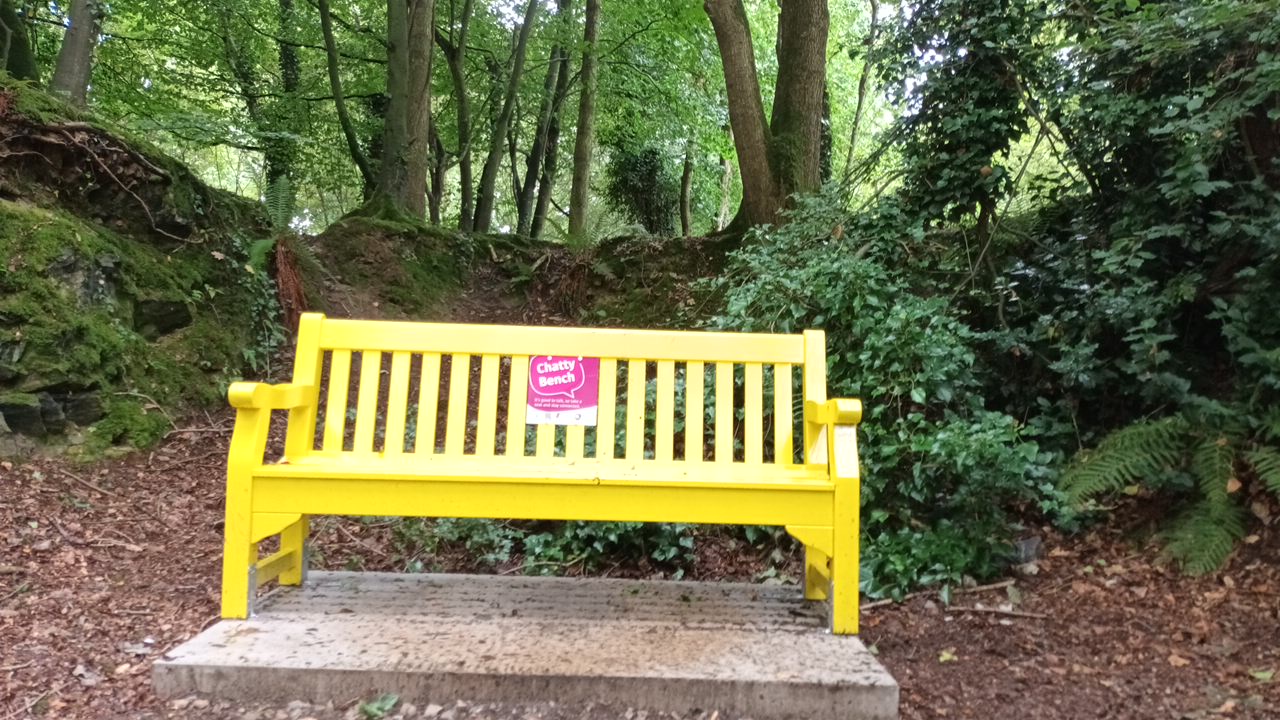 Folly Glen